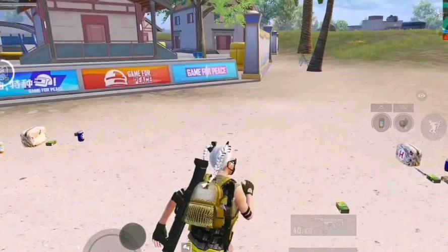 和平精英辅助【骑士直装】【雷神直装】范围打击 雷达预警 皮肤美化  掩体变色 漏打追踪 范围追踪